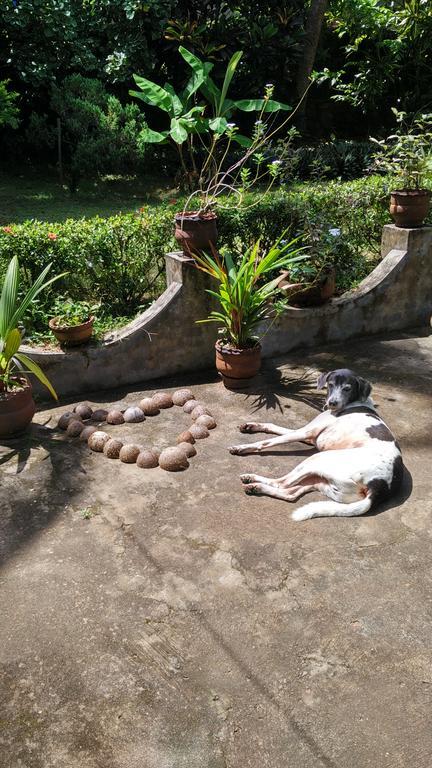 Arabian Soul Bed and Breakfast Varkala Εξωτερικό φωτογραφία