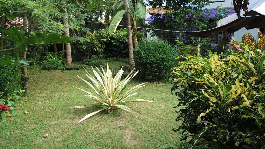 Arabian Soul Bed and Breakfast Varkala Εξωτερικό φωτογραφία